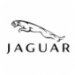  Replica Jaguar