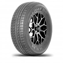 NEXEN Roadian 541